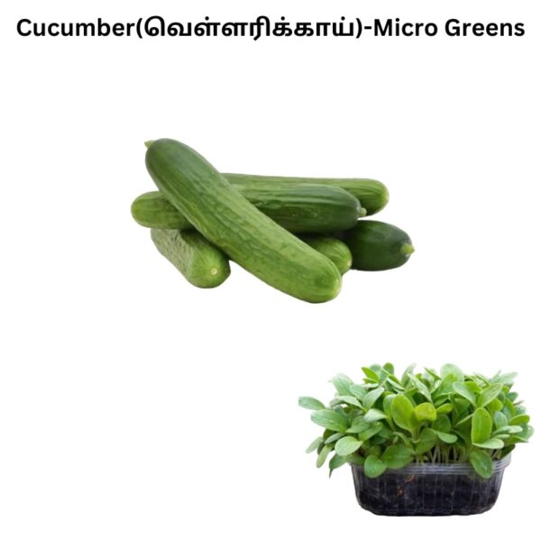 82890973-ef43-420a-8268-9b3caa0fd9f7