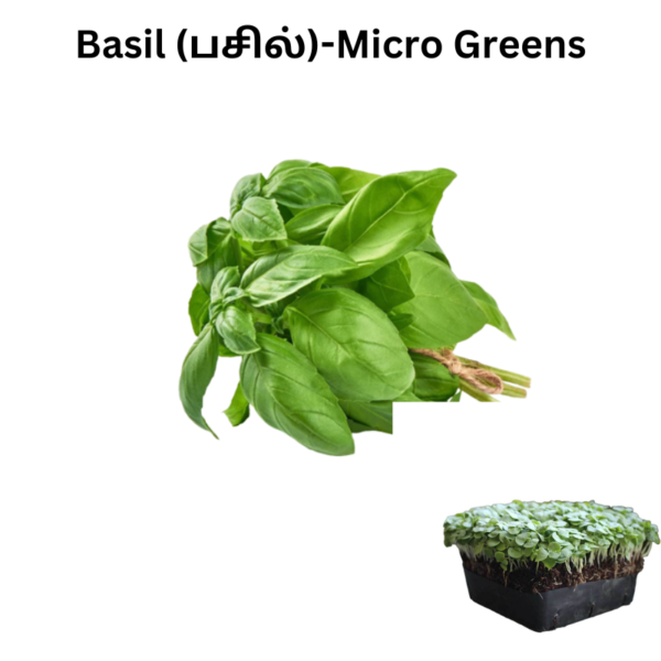 Basil