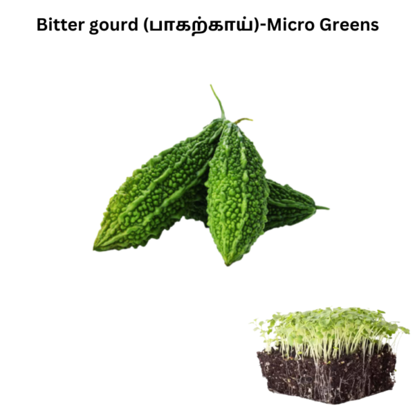 Bitter Gourd