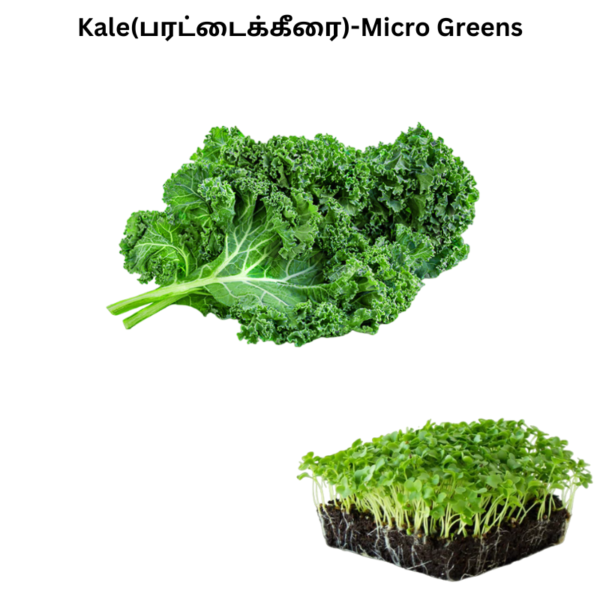Kale (1)