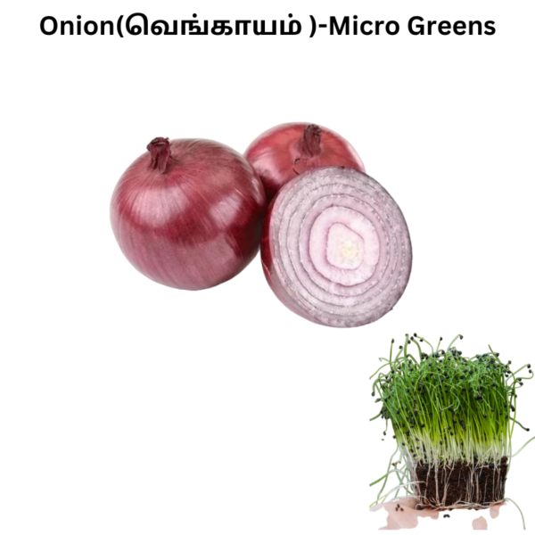 Onion