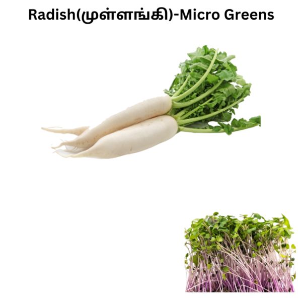 Radish