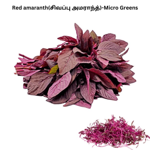 Red amaranth
