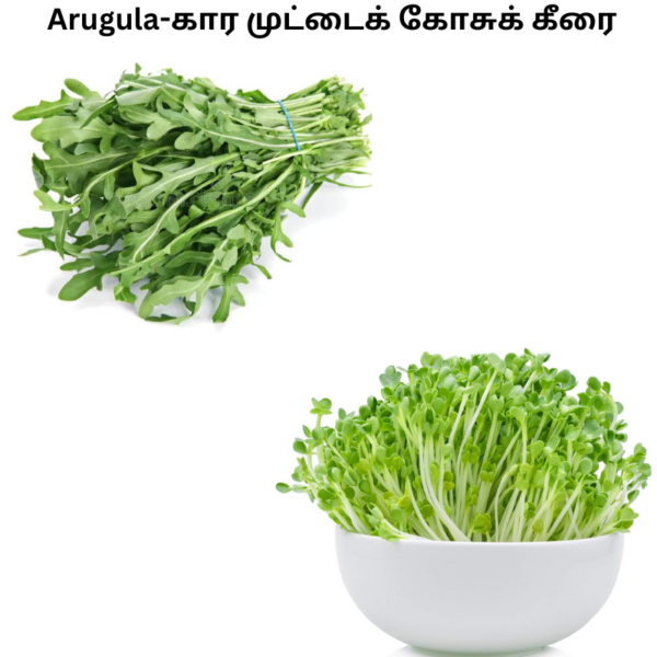 Arugula