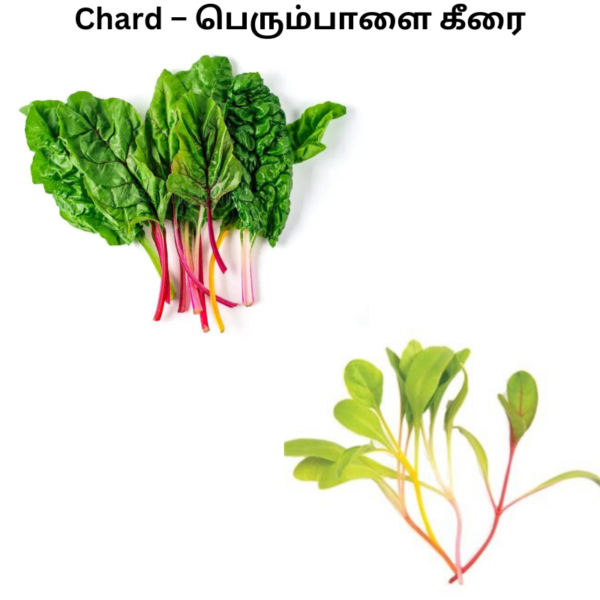 Chard