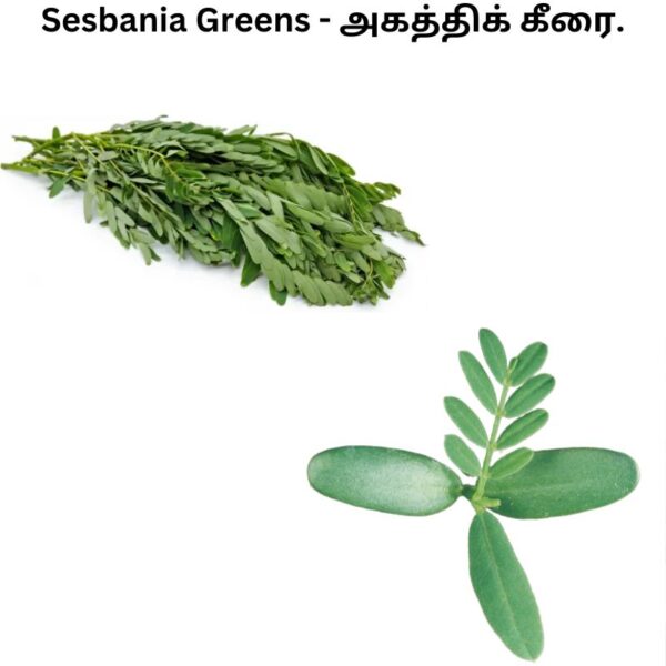 Sesbania-Greens
