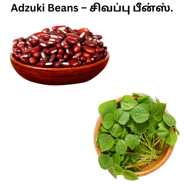 adzuki beans (1)
