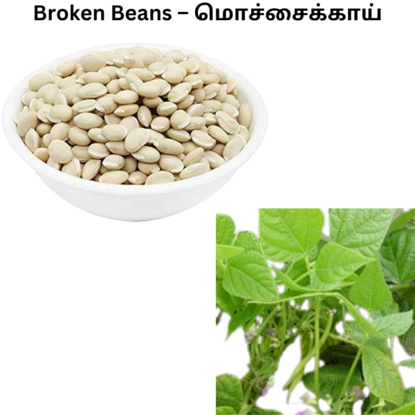 broken-Beans