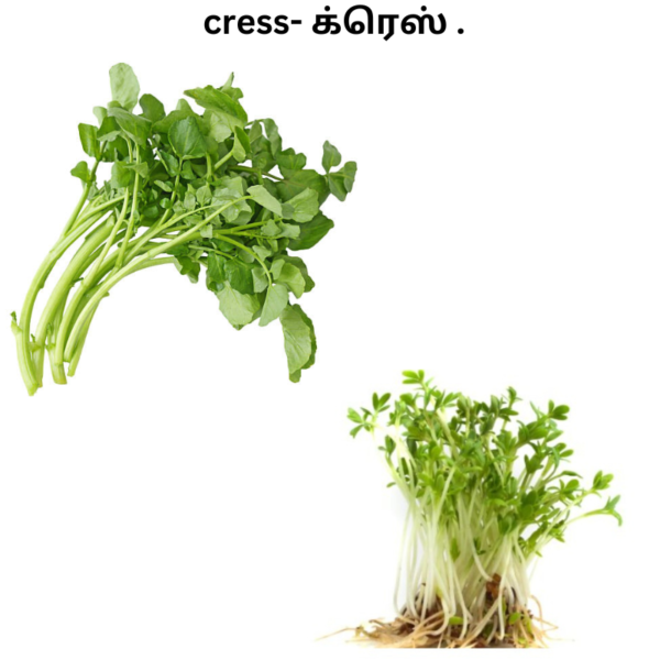 cress
