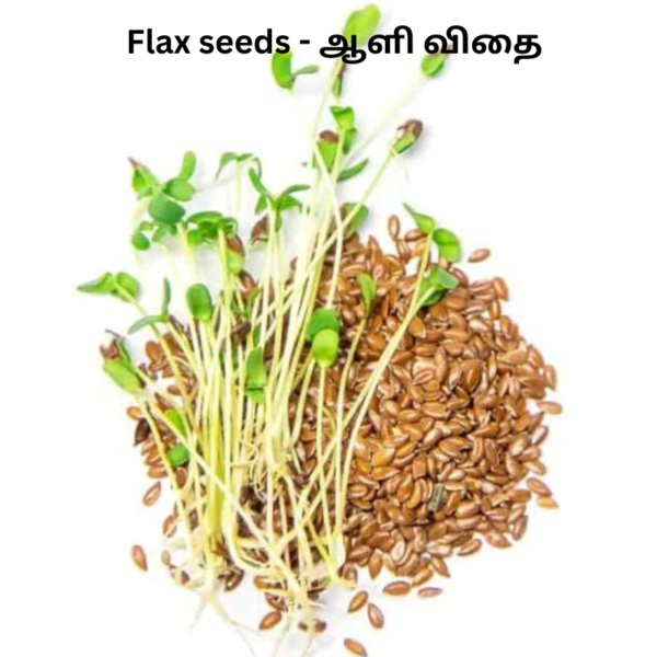 flax seeds