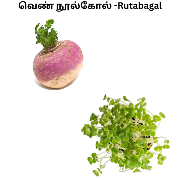 rutabagal